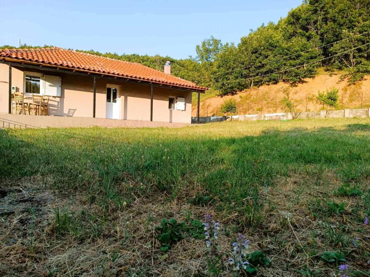 Billy'S House Villa Калампака Екстериор снимка