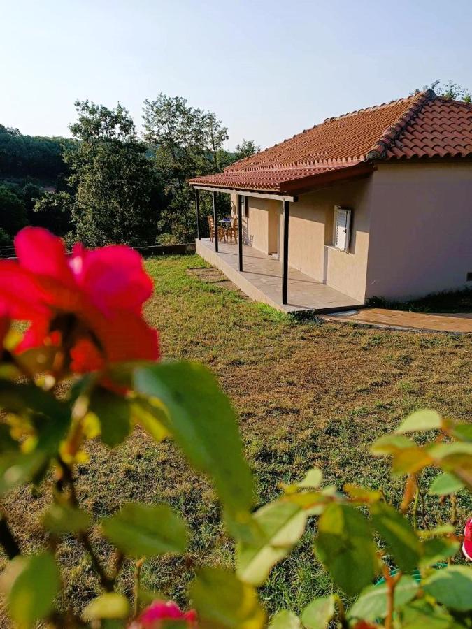 Billy'S House Villa Калампака Екстериор снимка