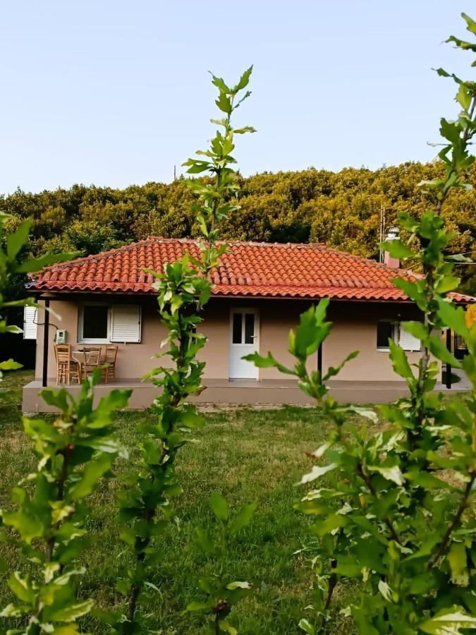 Billy'S House Villa Калампака Екстериор снимка