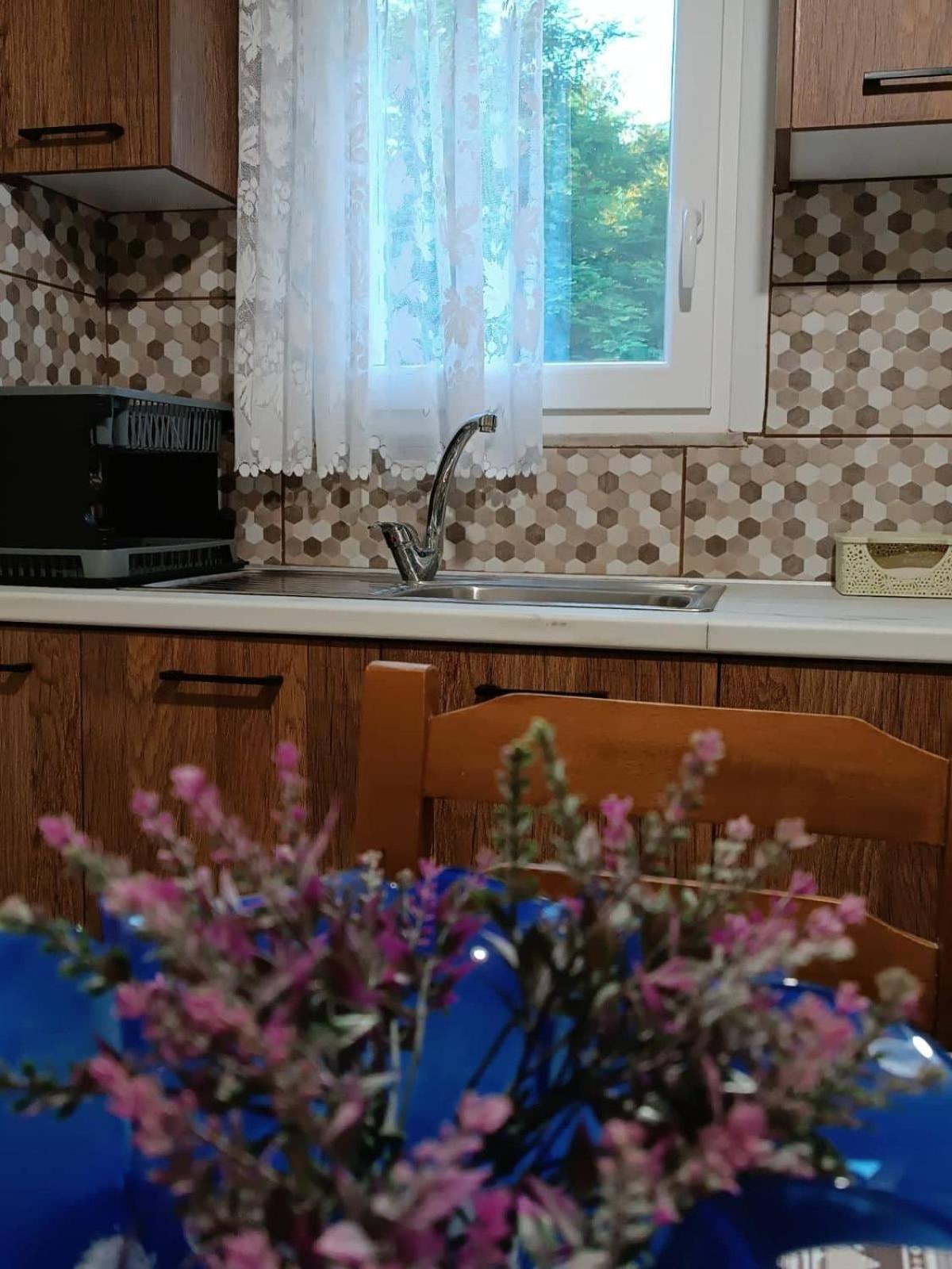 Billy'S House Villa Калампака Екстериор снимка